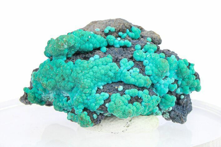 Deep Teal Botryoidal Chrysocolla - Planet Mine, Arizona #283863